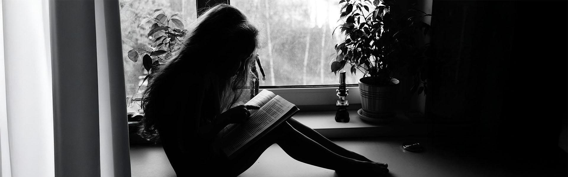 A picture of a girl in the window being completely lost in a book.